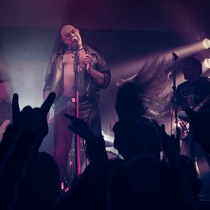 Bilder King Ping - Tippen Tappen Tödchen