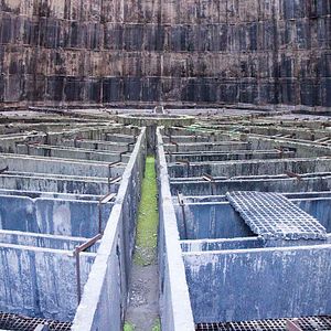 Bilder ¿Abandonado?