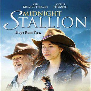 Bilder Midnight Stallion - Der König der Pferde