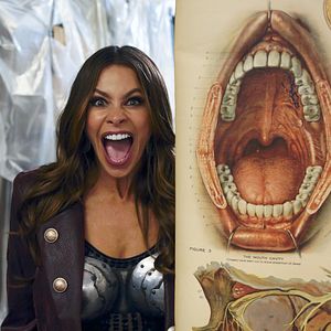 Bilder Sofía Vergara