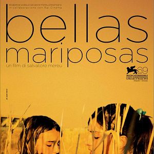 Bilder Schöne Schmetterlinge