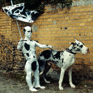 Bilder Freak Orlando