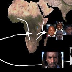 Bilder Quem Realmente Somos