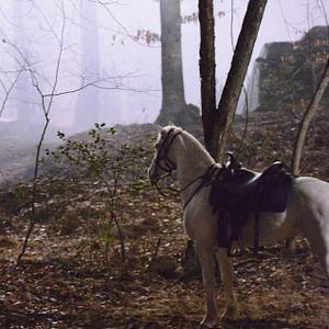 Bilder Sleepy Hollow