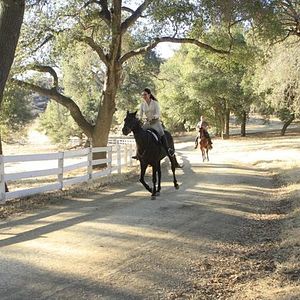 Bilder Madeleine Stowe