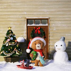 Bilder Komaneko no Christmas "Maigoninatta present"