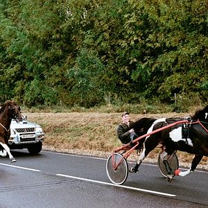 Bilder The Selfish Giant