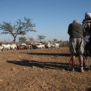 Bilder Hereros Angola