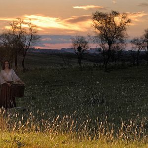 Bilder O Tempo e o Vento