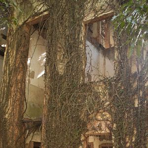 Bilder Vazio Coração