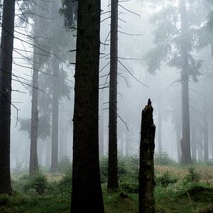 Bilder Dreileben 3 - Eine Minute Dunkel