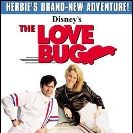 Bilder Ein toller Käfer kehrt zurück