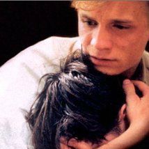 Bilder The War in Paris