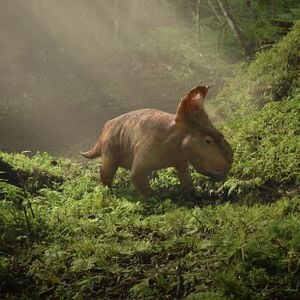 Bilder Dinosaurier 3D - Im Reich der Giganten