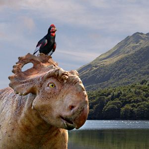 Bilder Dinosaurier 3D - Im Reich der Giganten