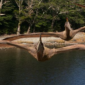 Bilder Dinosaurier 3D - Im Reich der Giganten