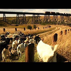 Bilder Die Karte meiner Träume