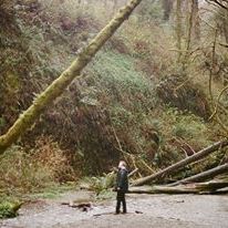 Bilder Fall and Winter