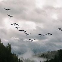 Bilder Fall and Winter