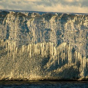 Bilder The Last Ocean