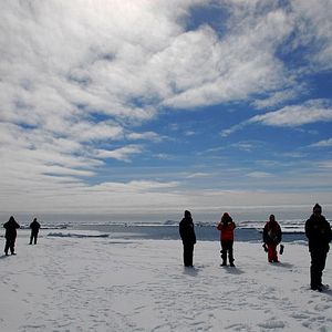 Bilder The Last Ocean