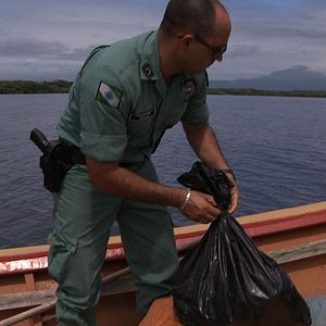 Bilder The Carbon Rush