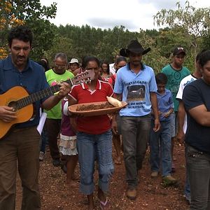 Bilder The Carbon Rush