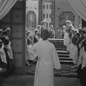 Bilder Die Austernprinzessin