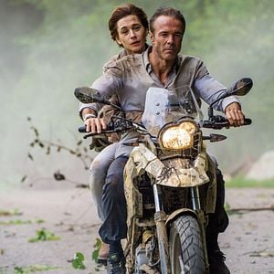 Bilder Christiane Paul