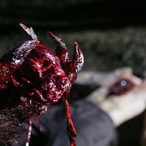 Bilder Boggy Creek - Das Bigfoot Massaker