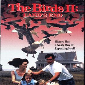 Bilder Die Vögel II - Die Rückkehr