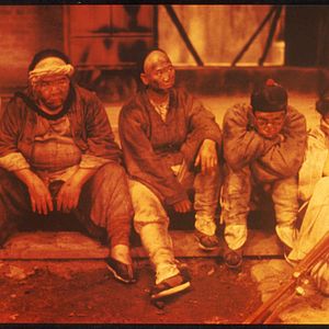 Bilder Die schwarzen Tiger von Hongkong