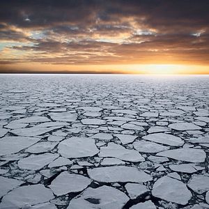 Bilder The Last Ocean