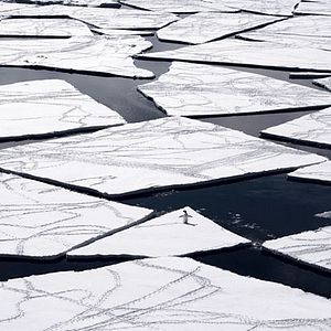 Bilder The Last Ocean