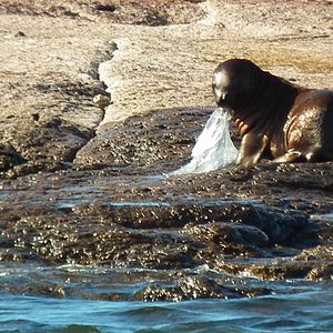 Bilder A Plastic Ocean