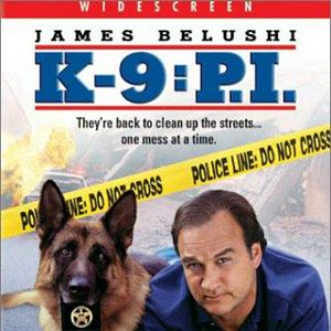 Bilder Mein Partner mit der kalten Schnauze 3