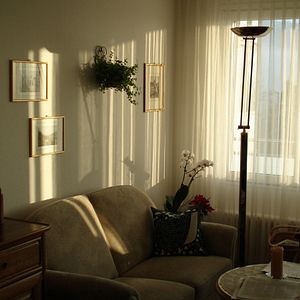 Bilder Vaters Garten - Die Liebe meiner Eltern