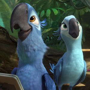 Bilder Rio 2 - Dschungelfieber