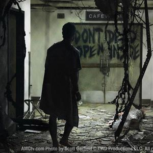 Bilder The Walking Dead