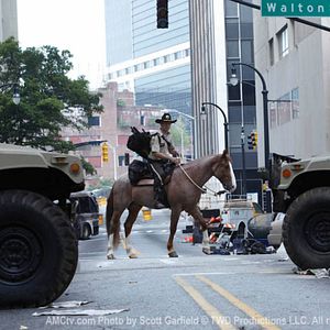 Bilder The Walking Dead