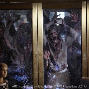 Bilder The Walking Dead