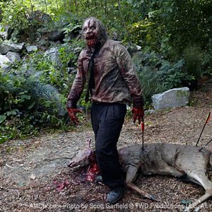 Bilder The Walking Dead