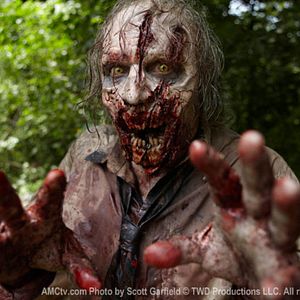 Bilder The Walking Dead