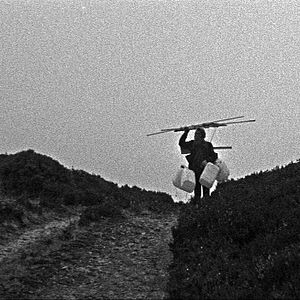 Bilder Two Years at Sea