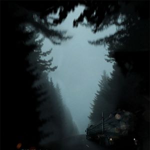 Bilder Behind the Redwood Curtain