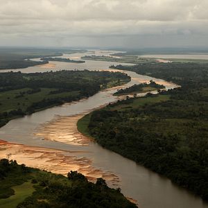 Bilder Das Geheimnis der Bäume