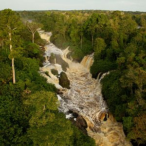 Bilder Das Geheimnis der Bäume