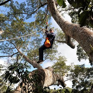 Bilder Das Geheimnis der Bäume