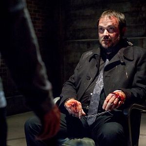 Bilder Mark Sheppard