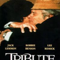 Bilder Ein Sommer in Manhattan